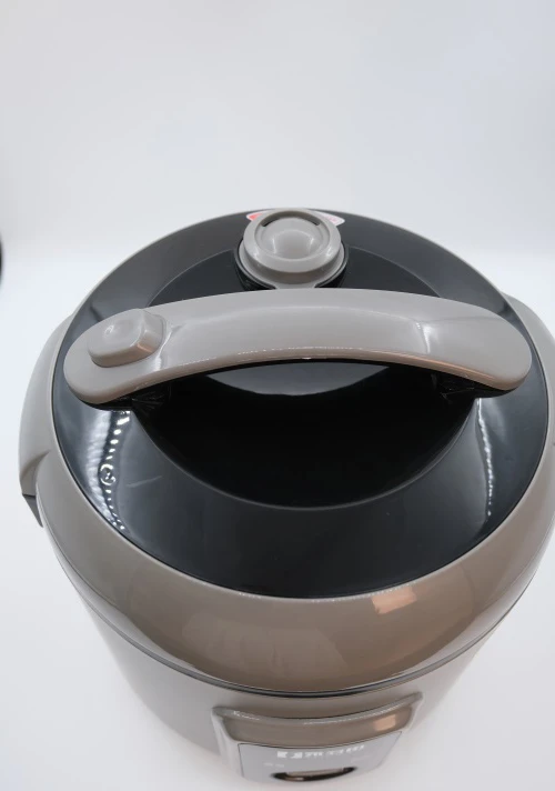 Marmite &eacute;lectrique int&eacute;gr&eacute;e YODOIT (mod&egrave;le de marmite int&eacute;rieure dor&eacute;e &agrave; texture nid d'abeille &agrave; double rev&ecirc;tement)