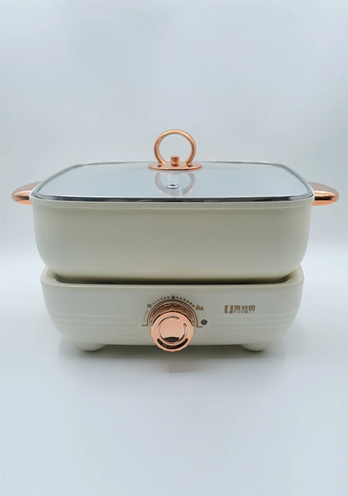 YODOIT Marmite &eacute;lectrique double saveur amovible couleur cr&egrave;me 5 L (1600 W)