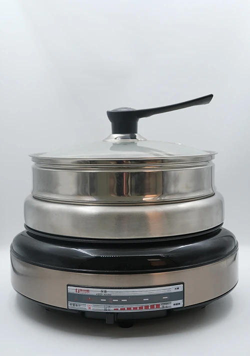 YODOIT Marmite &eacute;lectrique amovible multifonctionnelle 4 L (avec plaque chauffante)